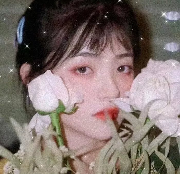 地窖惊魂